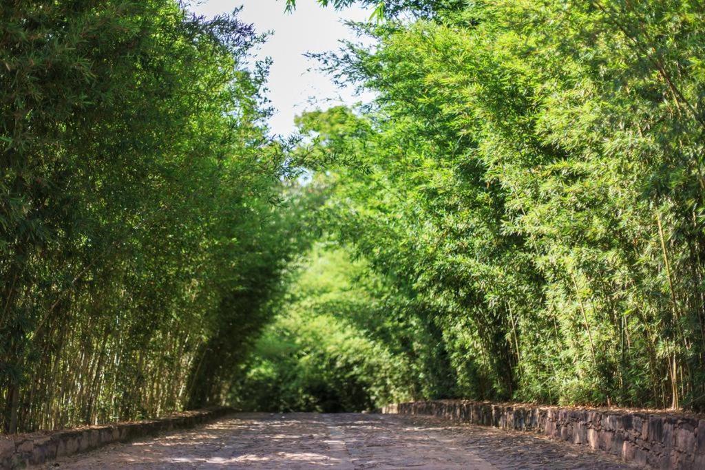 Pousada Bosque Do Lapao 렝소이스 외부 사진